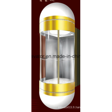 Type de capsule Panoramique Ascenseur avec main courante ronde